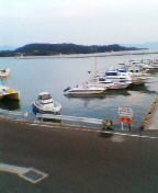 051122_1641%7E02.jpg