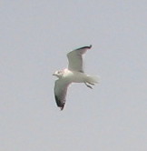 img20090329.jpg