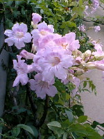 img20060916.jpg