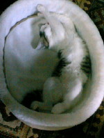 img20070718_3.jpg
