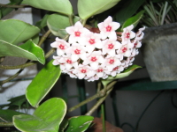 img20090712.jpg