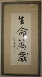 img20080327.jpg