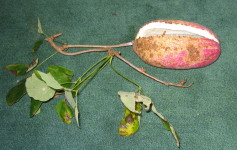 img20081023.jpg