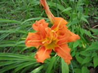 img20060801_1.jpg