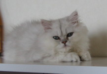 img20081119.jpg