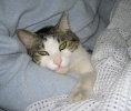 img20090209.jpg