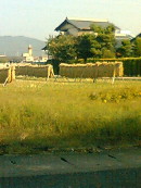 img20061106.jpg