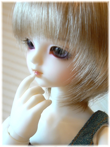 wp1320363.jpg