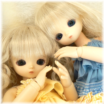 wp1110543.jpg