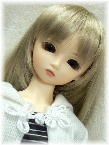 wp1180471.jpg