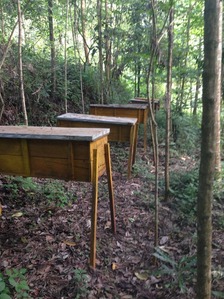 thumb_IMG_1608_1024