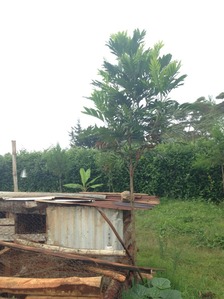 thumb_IMG_1605_1024