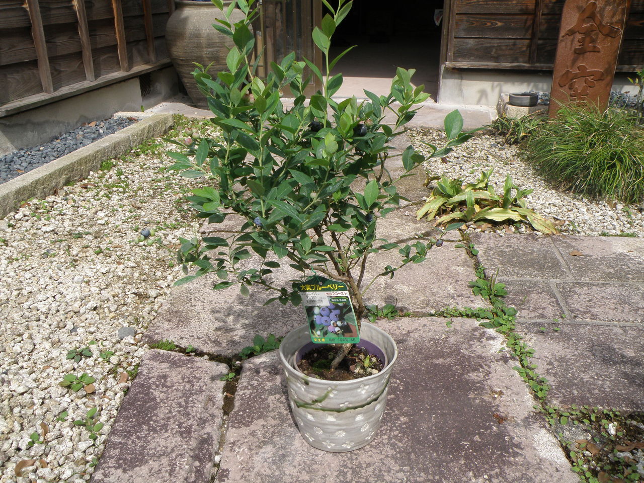 Drecom Zen Yoのブログ 陶芸教室 提案 Drecom Zen Yoのブログ 陶芸教室 提案
