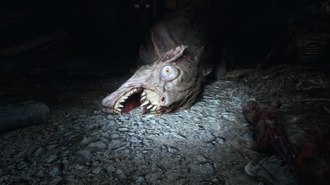 Metro Exodus_20190220205406