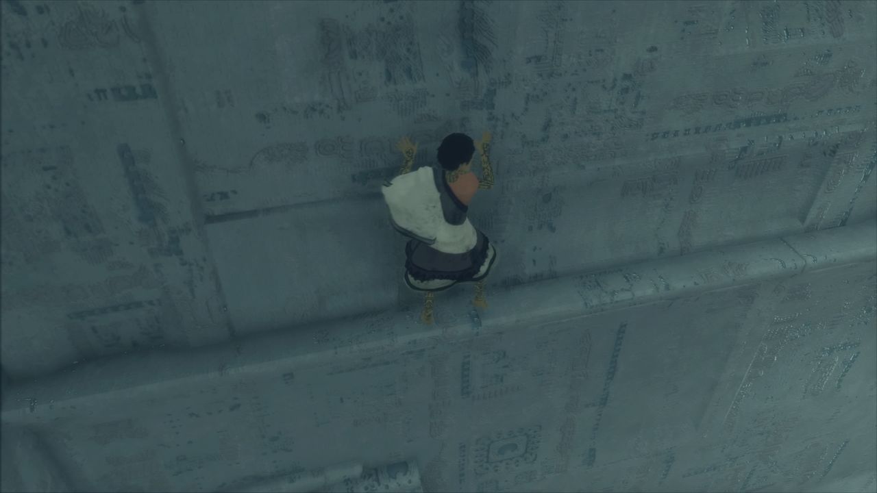 欠点を補って余りある体験が詰まったps4屈指のアクションアドベンチャーゲーム 人喰いの大鷲トリコ レビュー ゲームゾンビの軌跡 時々山歩き