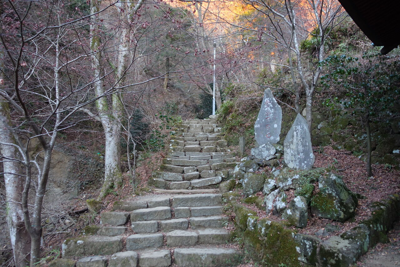 【2022.1.1】神奈川旅行最終日 元旦は大山詣りと江ノ電と。 ゲームゾンビの軌跡 時々山歩き