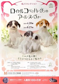 zz-2C8T2557