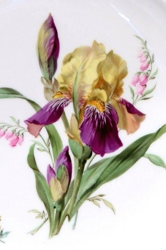アンティーク アーカイヴのブログ 自然主義様式の花絵 アンティーク アーカイヴのブログ 自然主義様式の花絵
