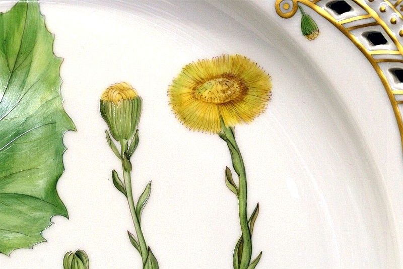 フローラダニカ ロイヤル コペンハーゲン ボタニカルアート アンティーク アーカイヴのブログ