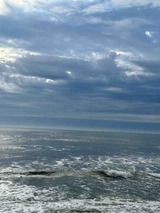 IMG_2679