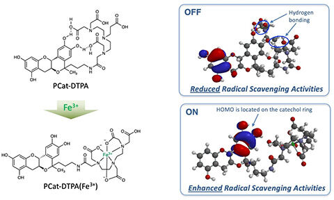 antioxidants-12-00225-ag-480