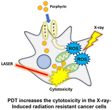 pharmaceutics-15-02536-ag_s