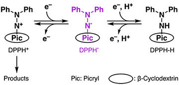 Electrochem_Commun360