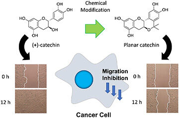 images_medium_ml3c00499_0003s