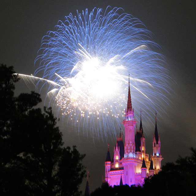 Night High Halloween