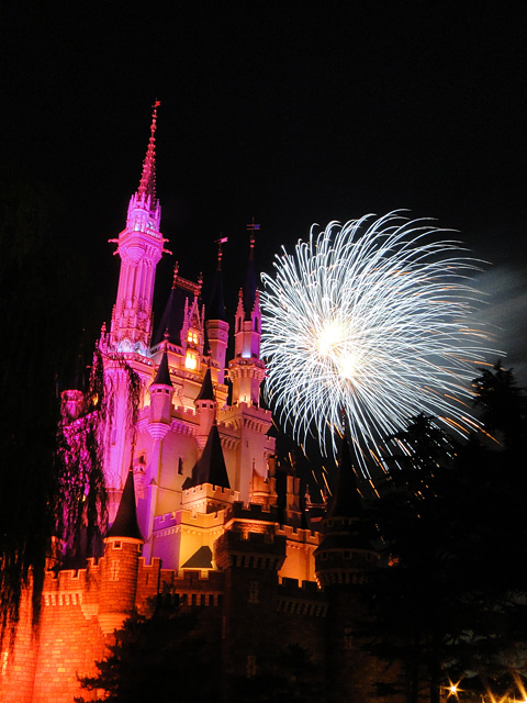 Night High Halloween