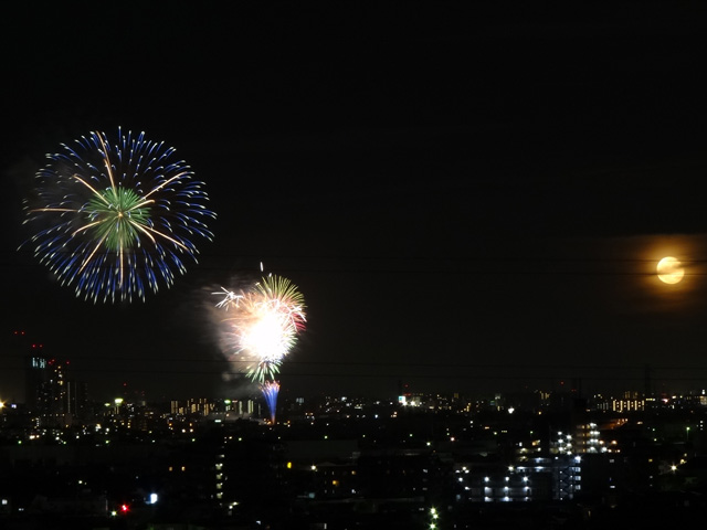 Edogawa Fireworks Festival