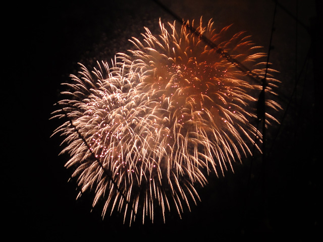 Night High Halloween