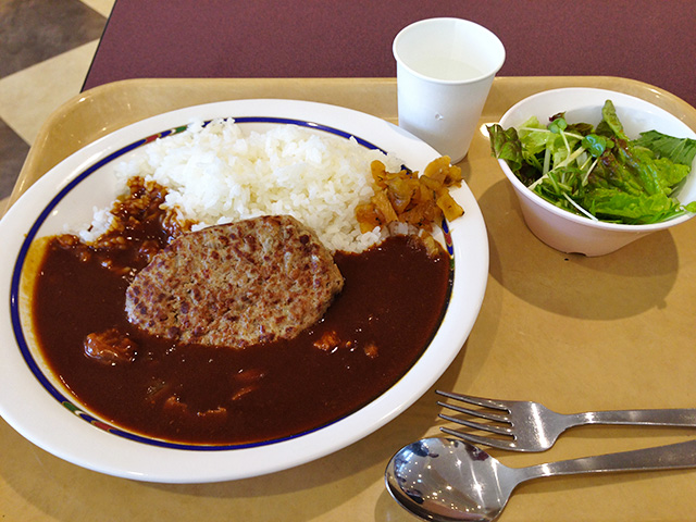 Hamburger Curry