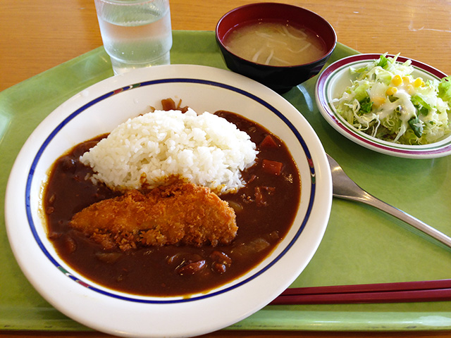 Fried Salmon Curry with Rice