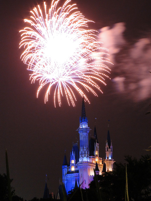 Night High Halloween