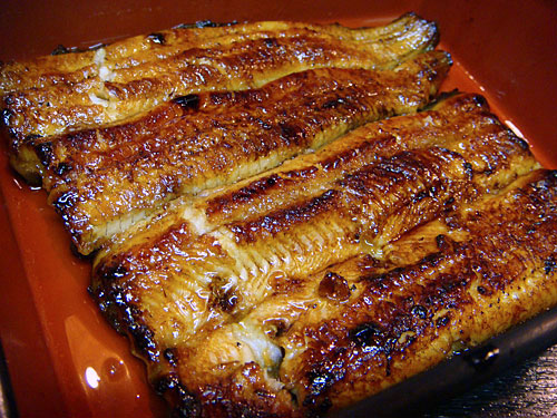 Broiled Eel