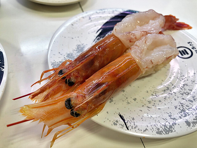 Red Shrimp