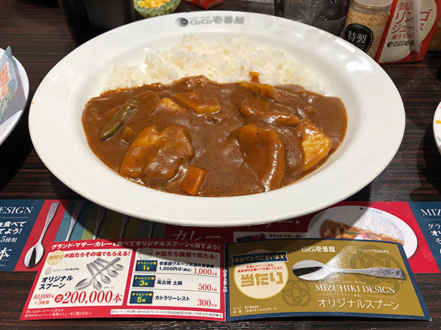 11th Grand Mother Curry