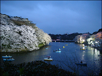 Chidorigafuchi