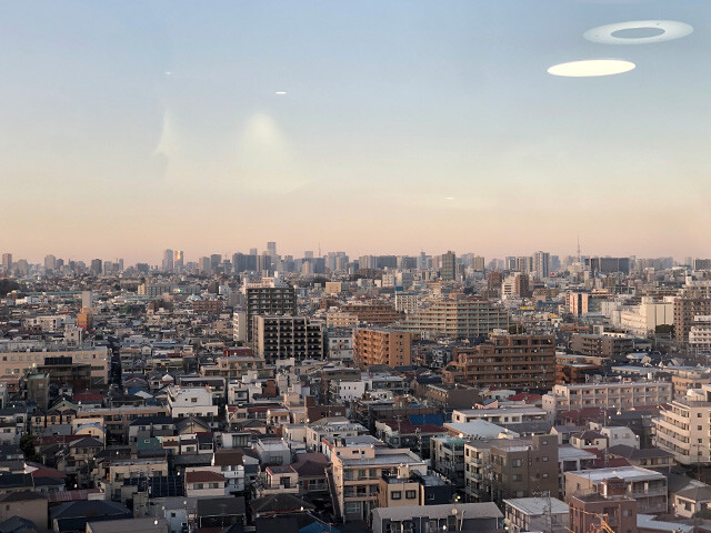 The View from the 12th Floor