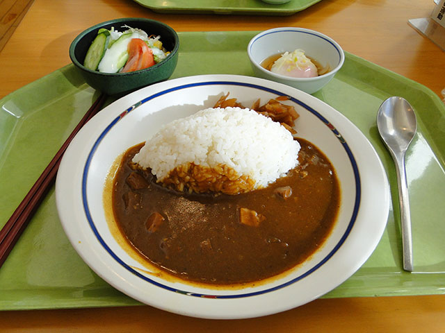 Pork Curry with Soft-boiled Egg