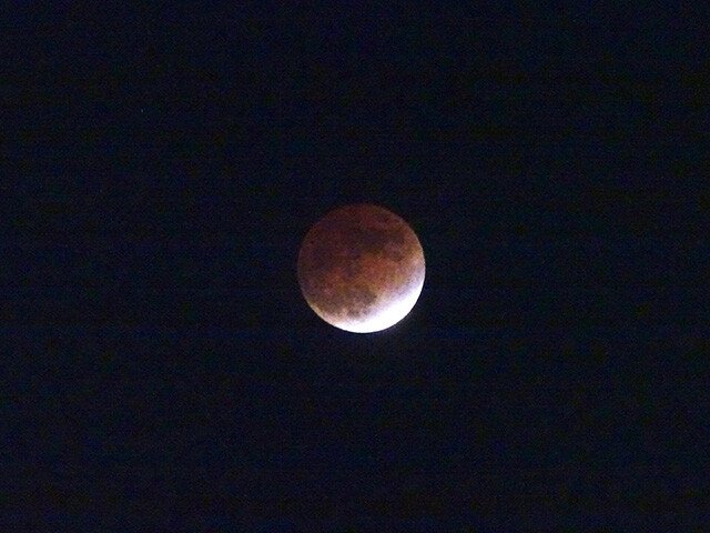 Near-Total Lunar Eclipse