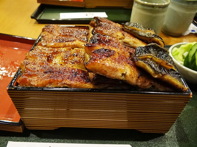 Broiled Eel on Rice