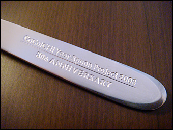 Year Spoon 2008