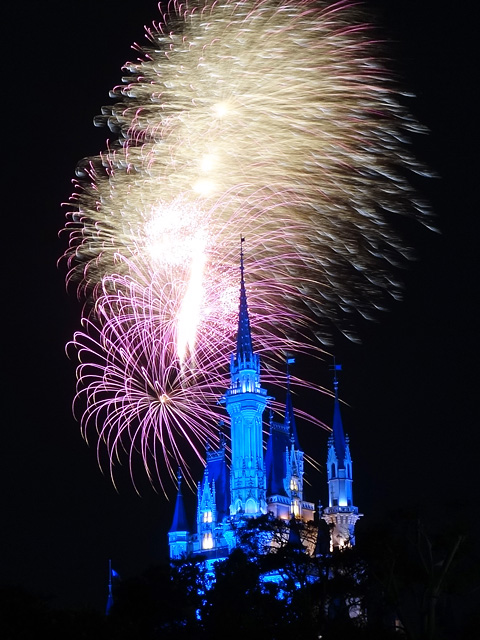 Night High Halloween