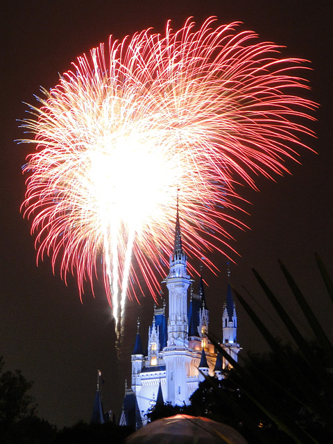 Disney Magic in the Sky