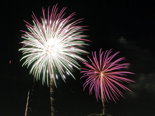 Tamagawa Fireworks Festival