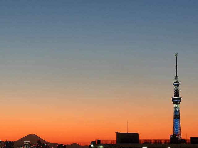 Mt. Fuji and TOKYO SKYTREE