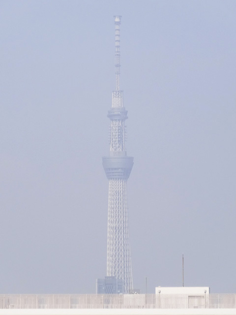 TOKYO SKYTREE