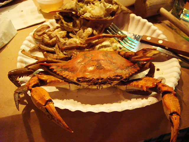 Steamed Maryland Blue Crab